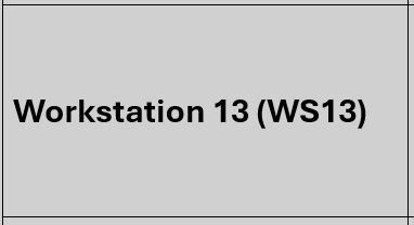 WS13